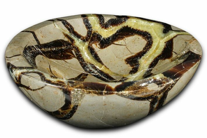 Unique Polished Septarian Dish - Madagascar #371706